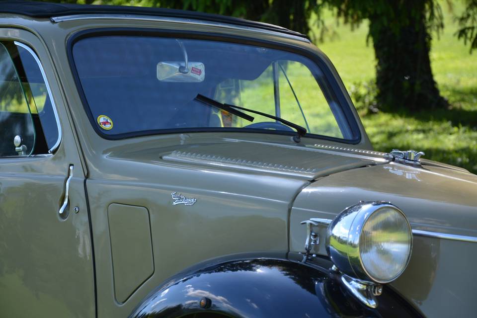 Topolino dettaglio