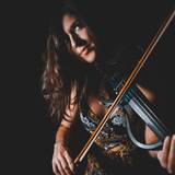 violino elettrico 