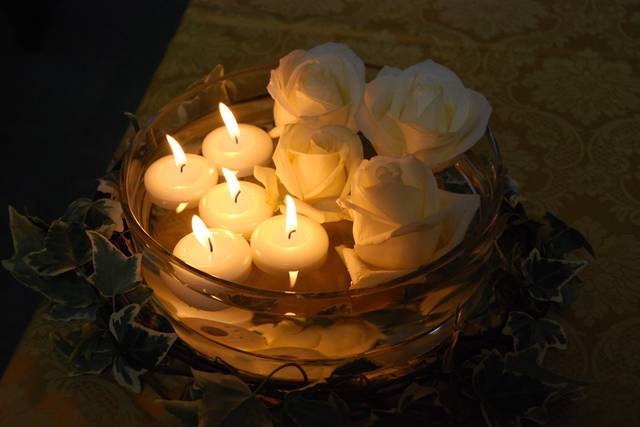 Rose bianche