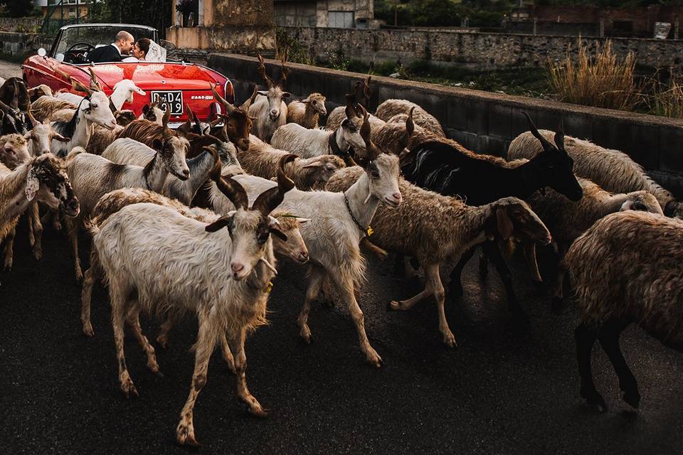 Matrimonio in sicilia