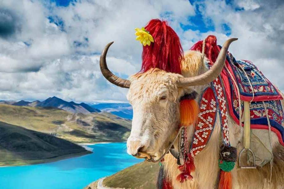 Isaha-Tibet