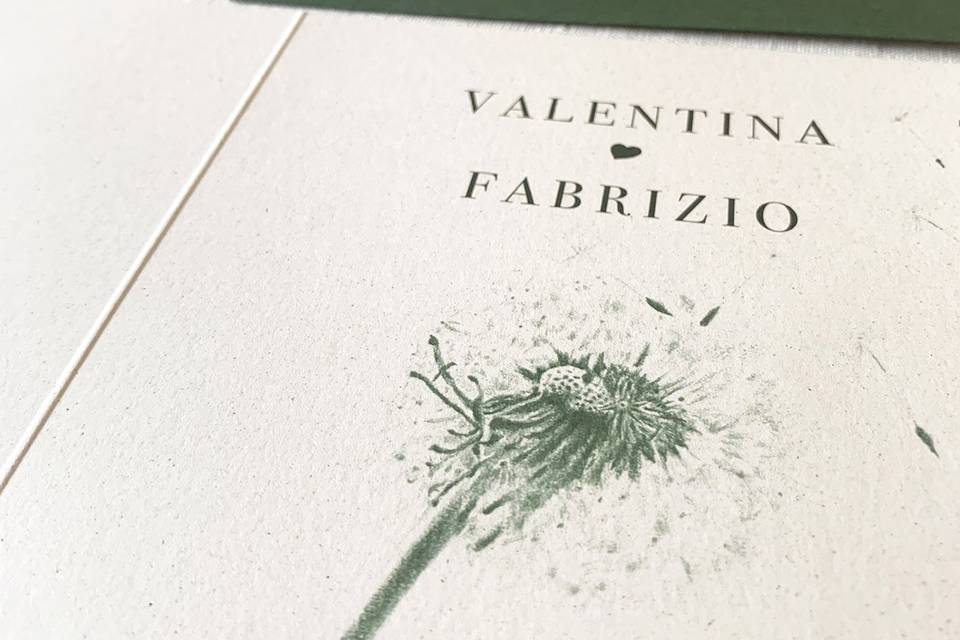Soffione illustrato
