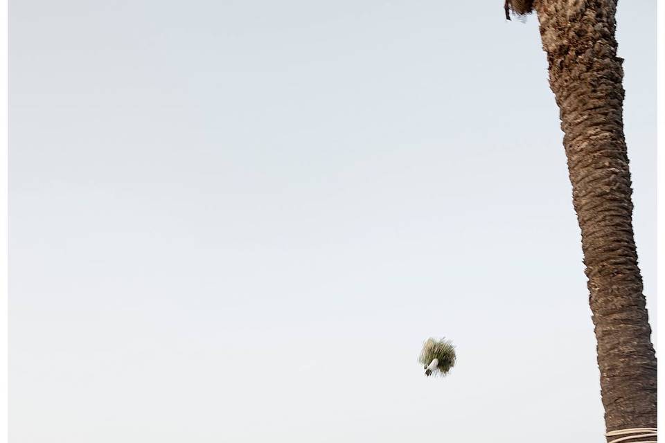 Pantelleria Dream Resort