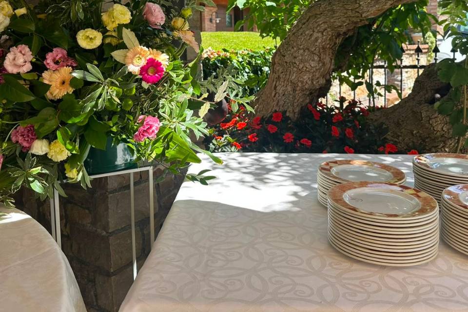 Area buffet
