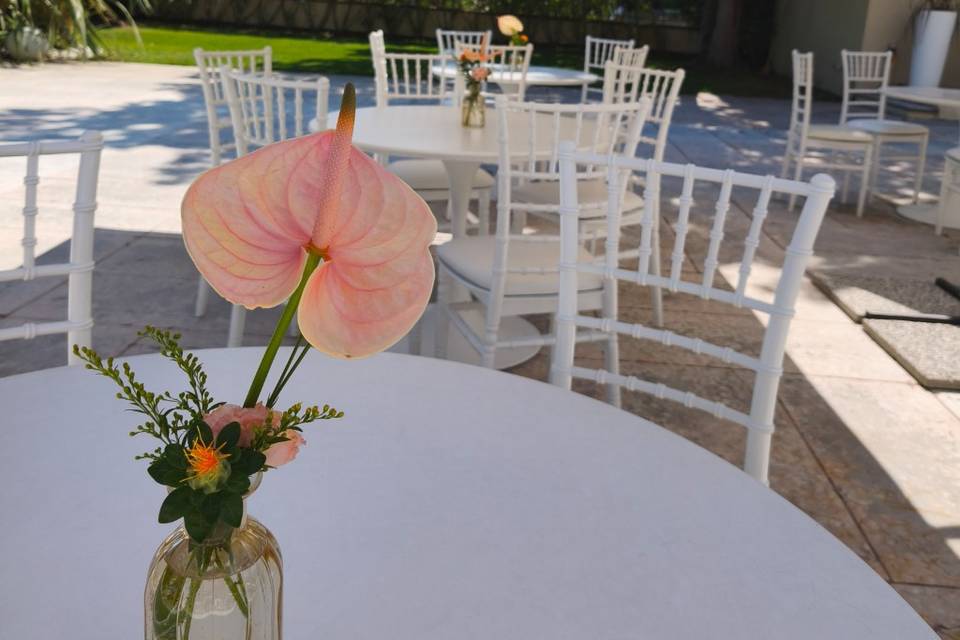 Decorazioni area buffet