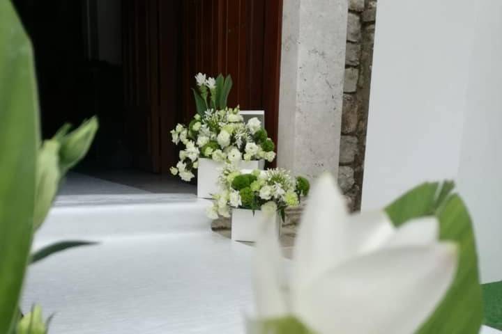 Linea A Wedding Planner