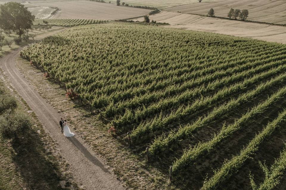 Tenuta dei Mori