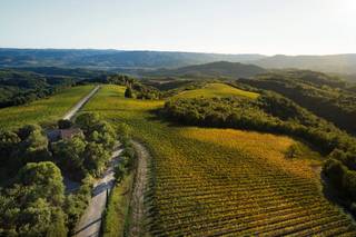 Tenuta Vitalonga