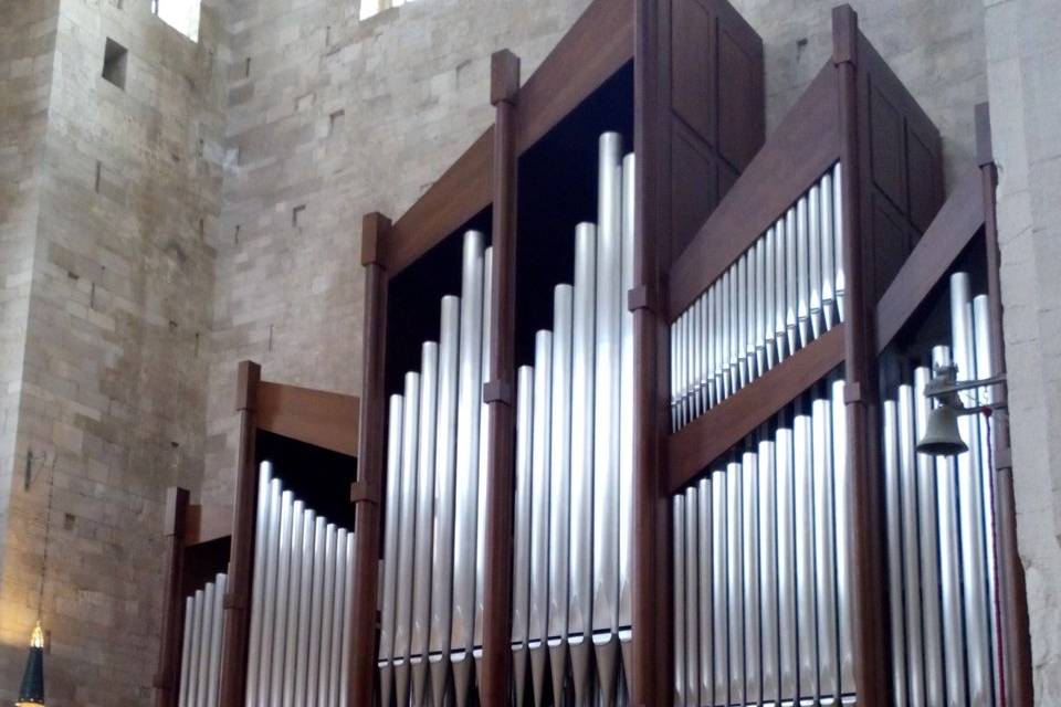 Cattedrale - Trani (BT)