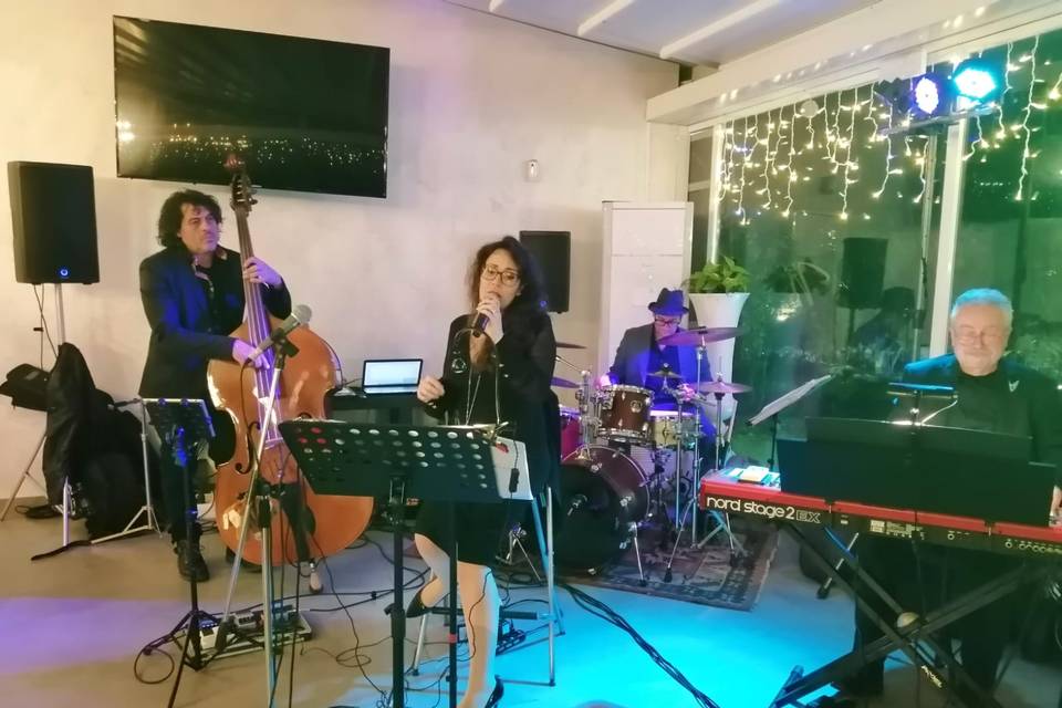 Shariga quartet