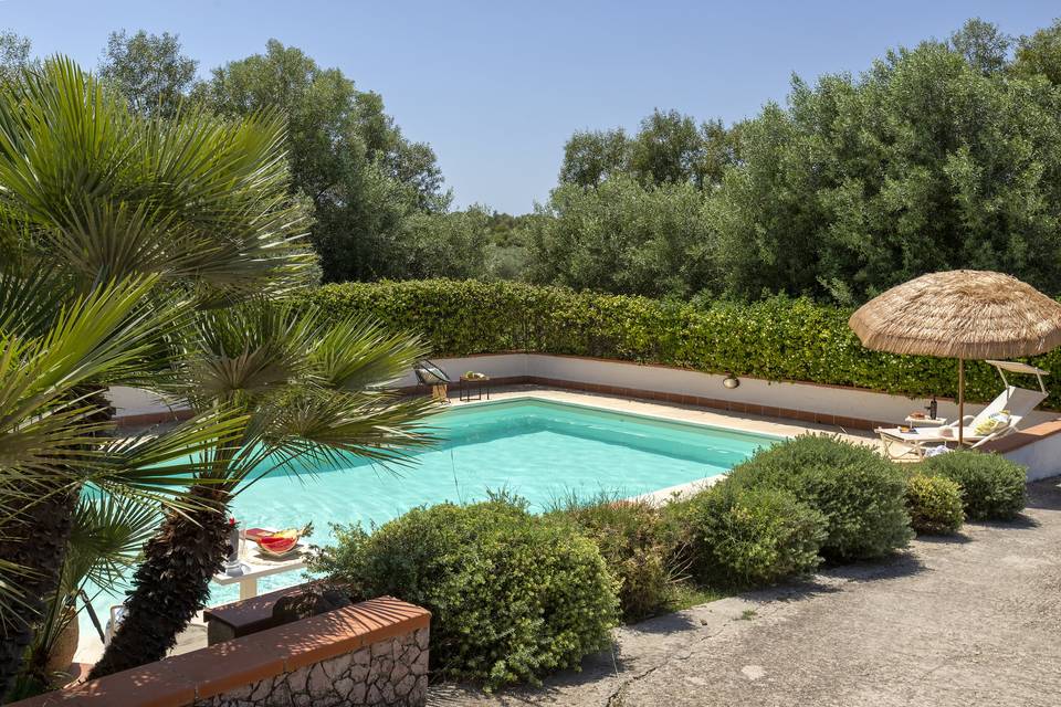 Piscina immersa nel verde