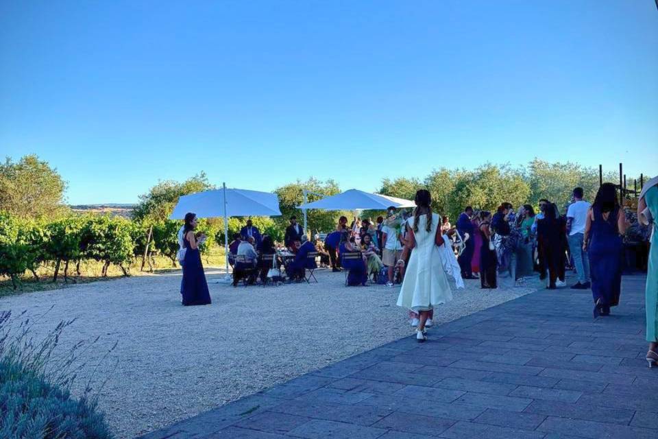 Matrimonio 12/06/2026