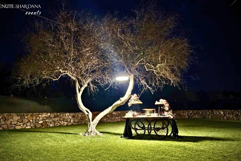 Matrimonio 27/06/26