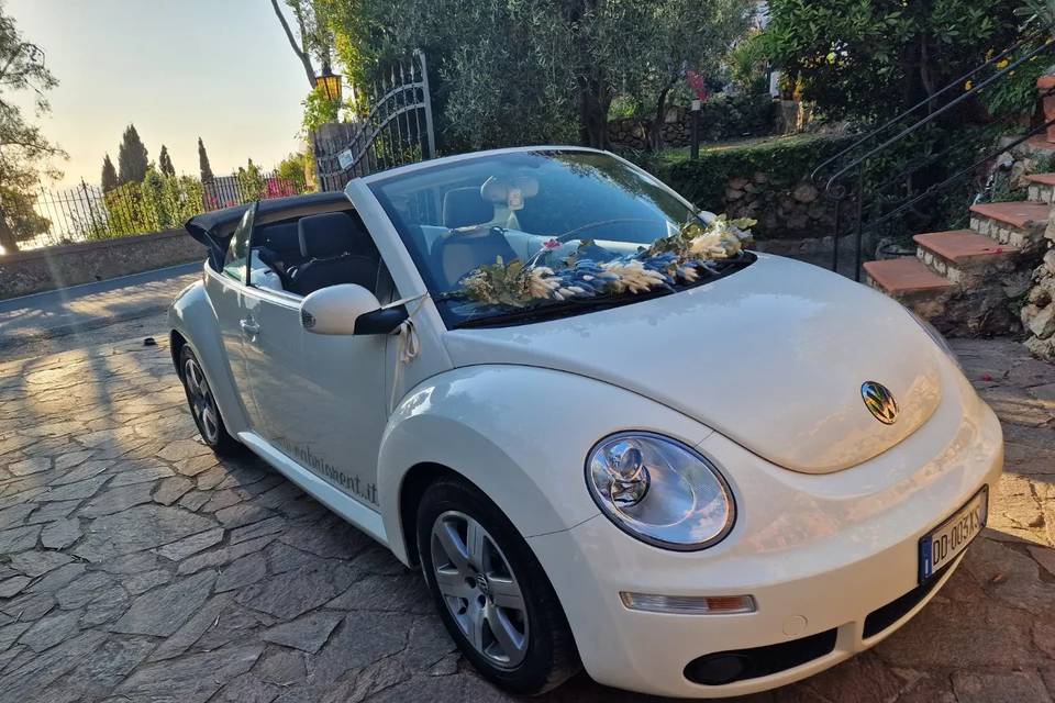 New Beetle 2006