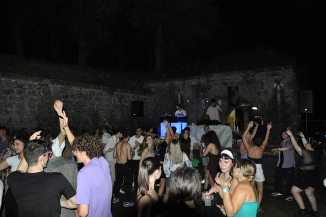 DJ per feste