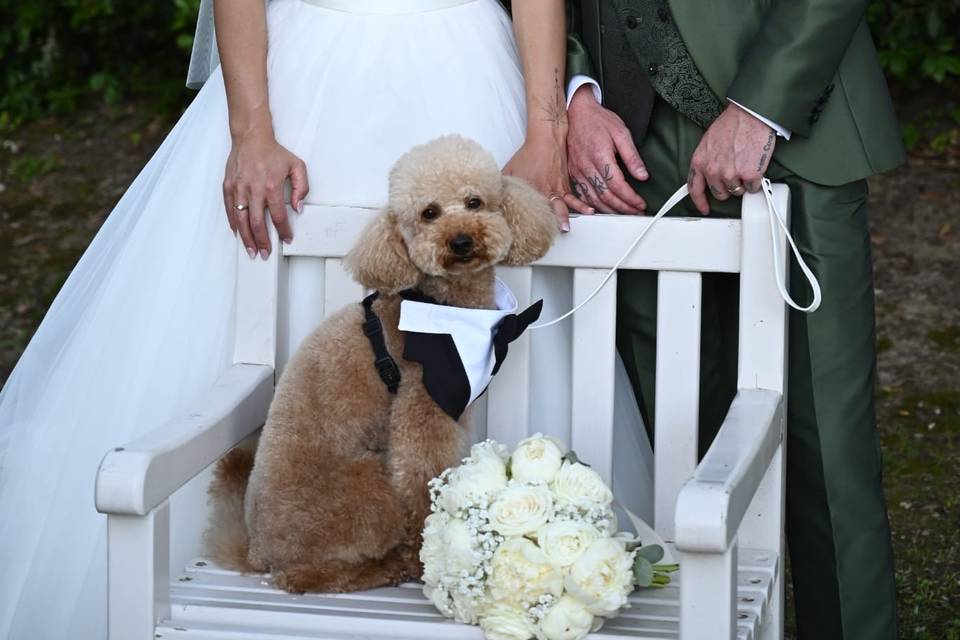 Mr. & Mrs