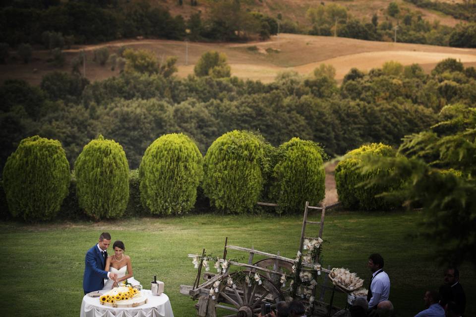 Torta in Giardino