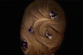 Alice Hair Concept