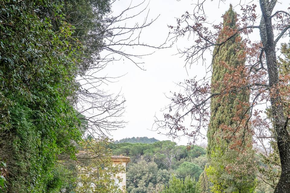 Viale