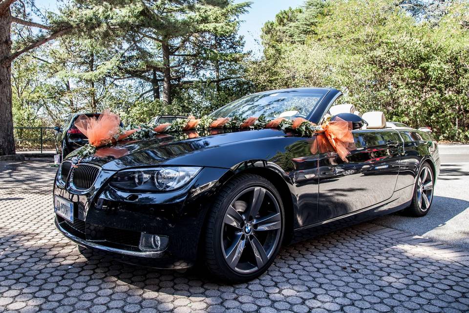 Auto - miramare ts