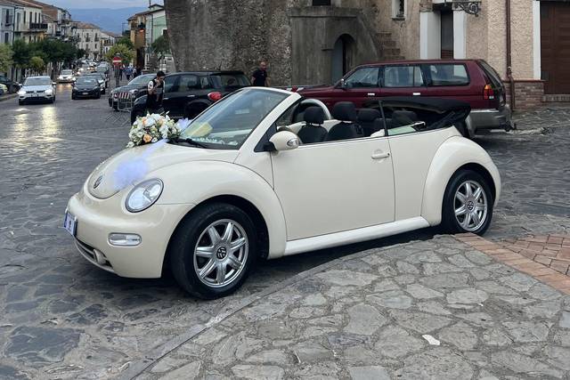 La Contessina New Beetle