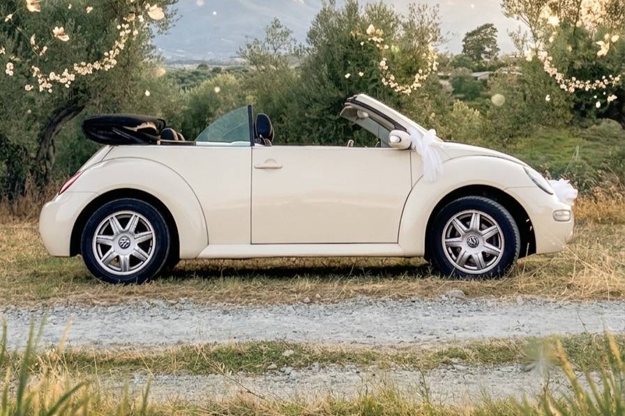New beetle cabrio