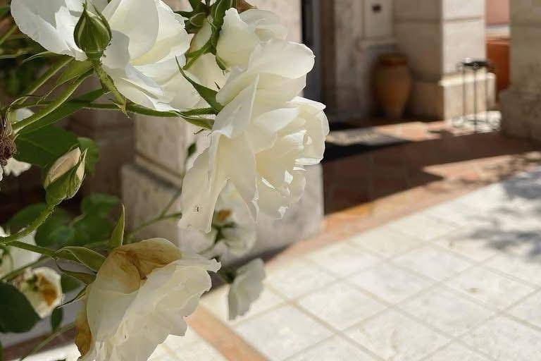 Il Vernacolo in Villa Grazia