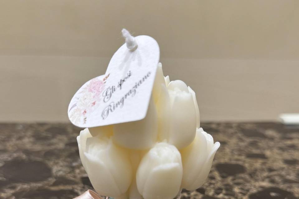 Tulipano