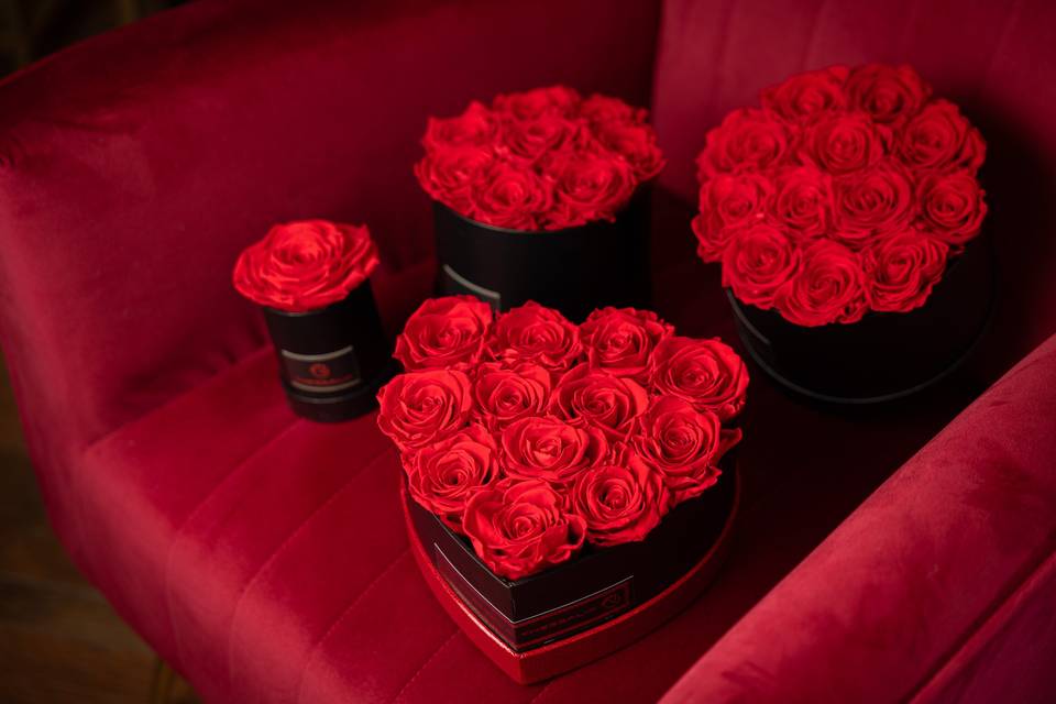 Rose stabilizzate