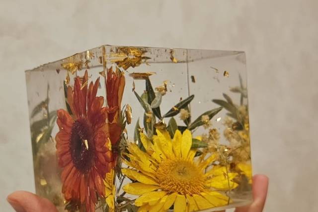 Cubo 8x8 con margherite