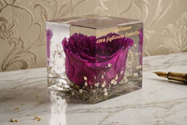 Rosa eterna