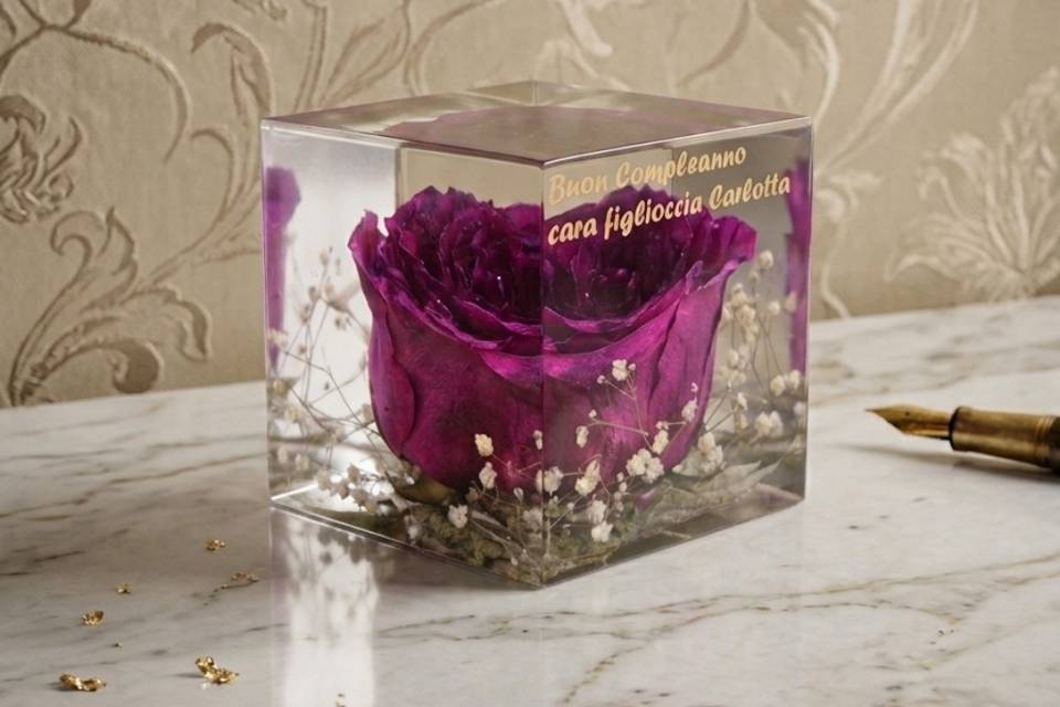 Rosa eterna