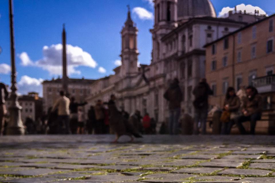 Fedi Roma Piazza Navona