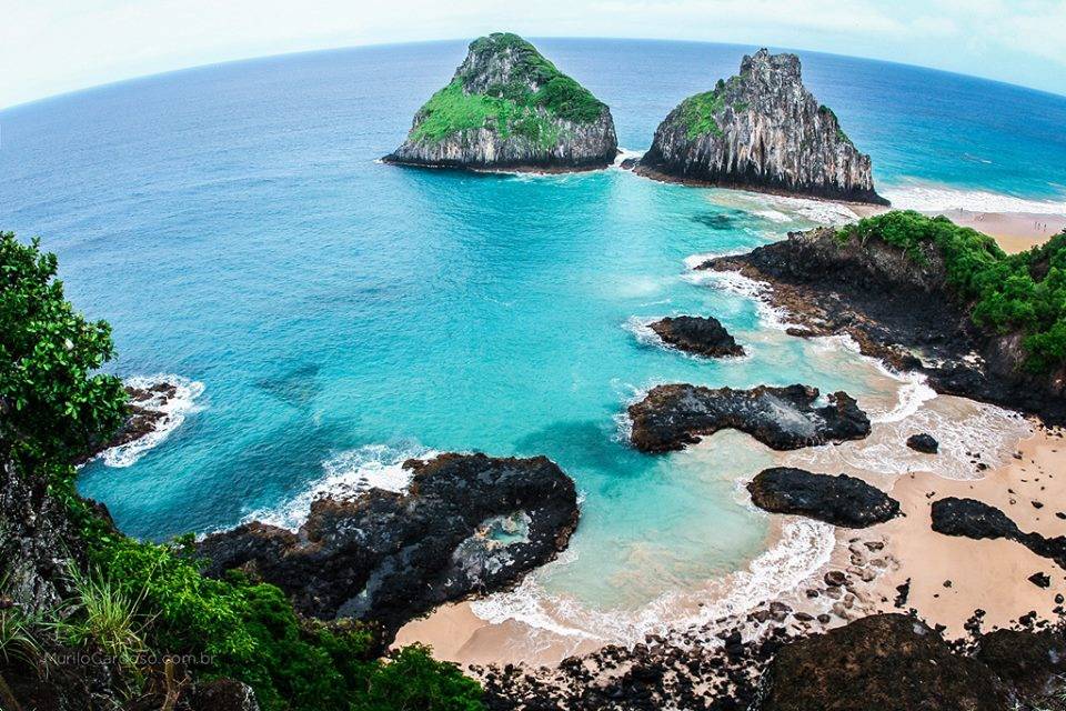 Brasilebaia dos porcos noronha