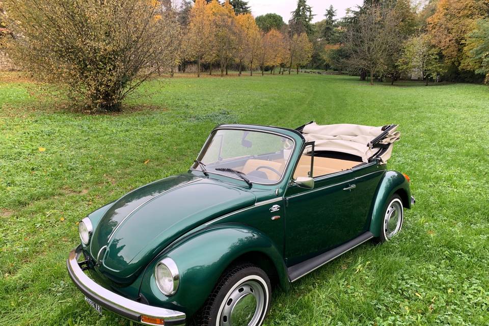 Volkswagen Maggiolone cabrio