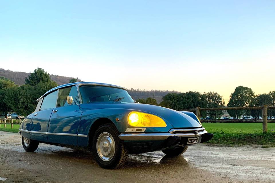 Citroen ds blu