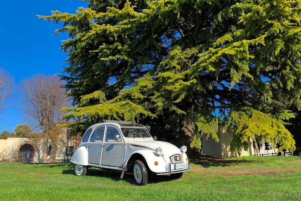 Citroen 2cv dolly