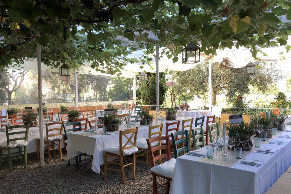 Veranda Ristorante Agricuoco