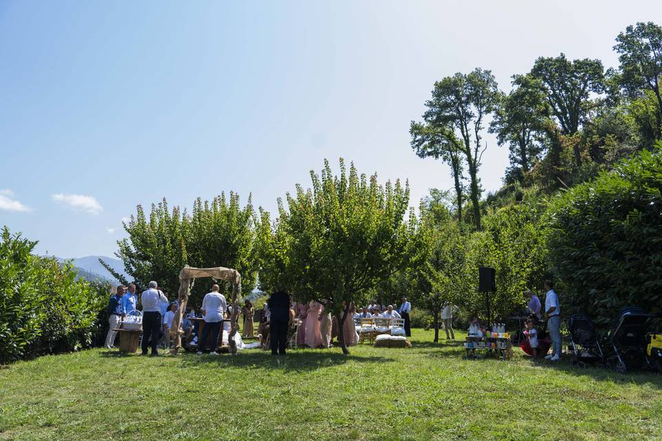 Matrimonio nel frutteto