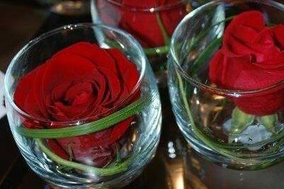 Rose rosse