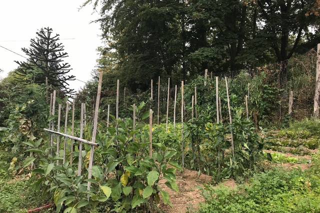 I nostri orti nei dintorni