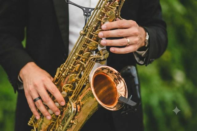 Intrattenimento musicale