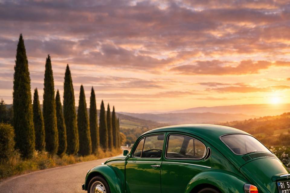 Rome Vintage Beetle