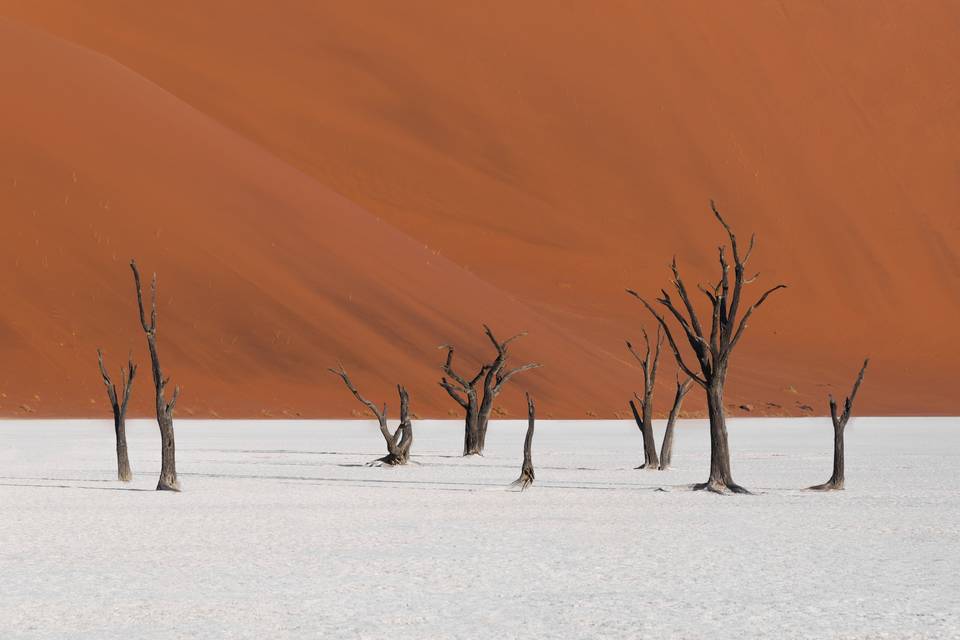 Viaggio di nozze Namibia