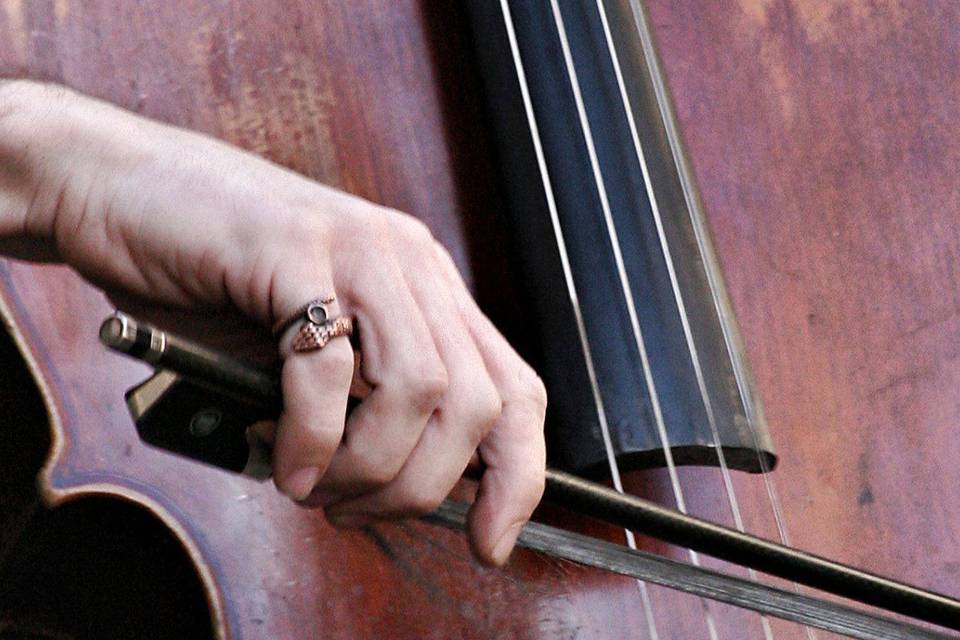 La delicatezza del violincello