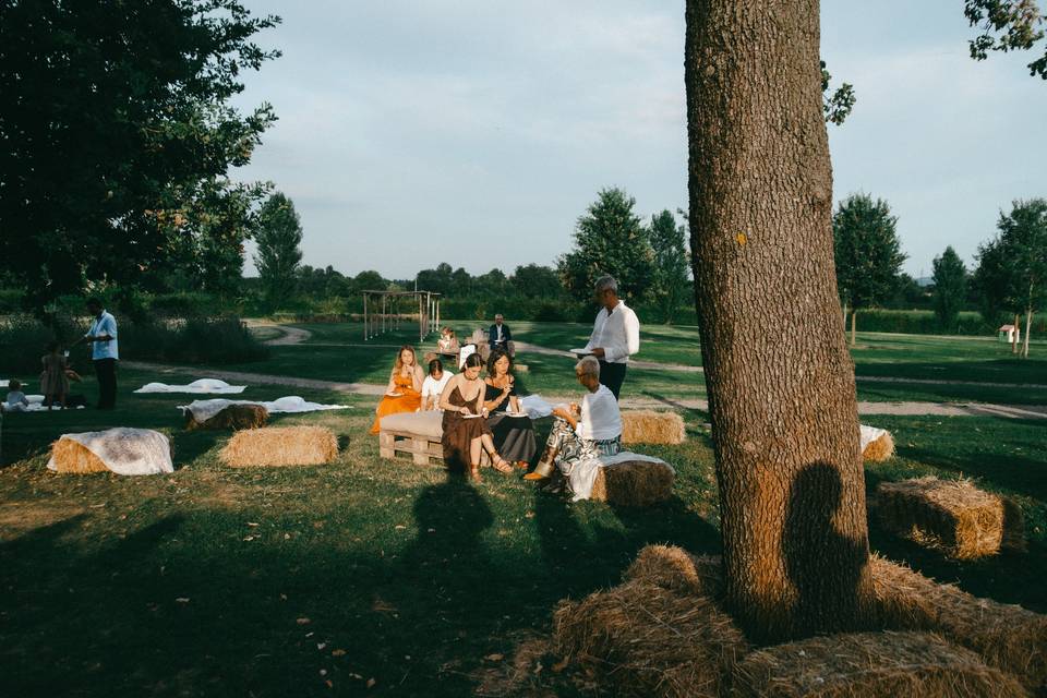 Wedding