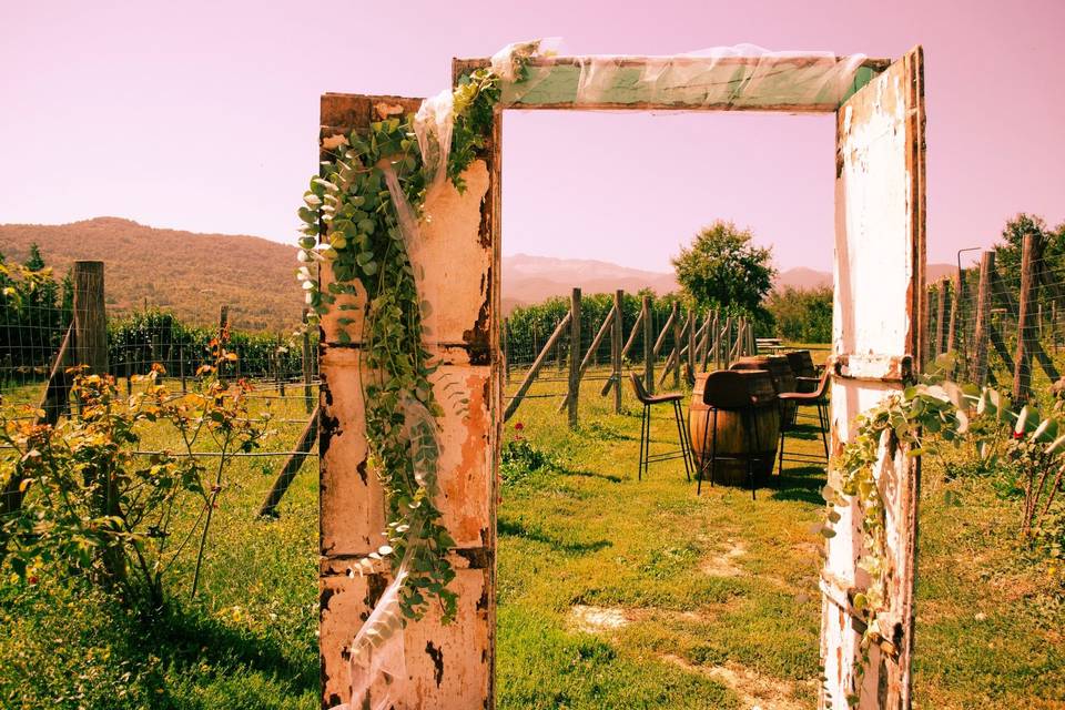 Vigneto