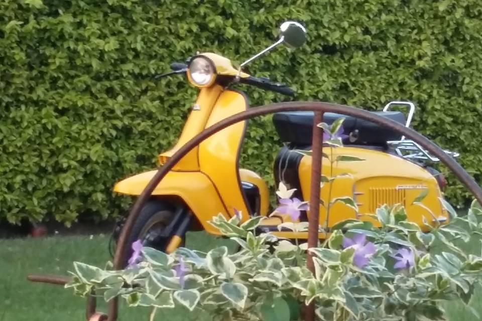 Lambretta fiori