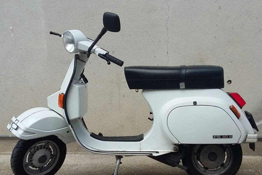 Vespa laterale