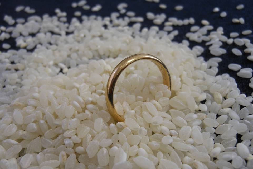 Fedi oro rosa
